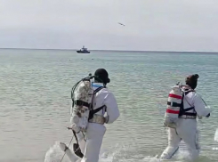 МЧС отчиталось о ликвидации мазута в Черном море 
