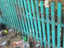 «Какой ужас: повсюду грязь»: анапчанку возмутило состояние улицы рядом с ж/д вокзалом