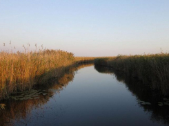 Рядом с Анапой расчистят лиманы 