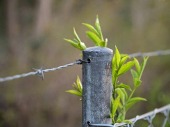 Места природного отдыха для жителей Анапы будут закрыты