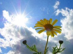 Сегодня, 3 мая, в Анапе так же тепло