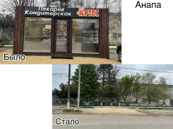 Краснодарский край будет жестко бороться с незаконной торговлей 
