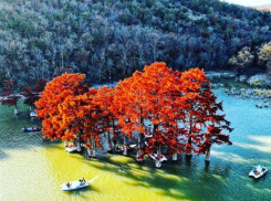 Кипарисовое озеро под Анапой атаковали туристы – видео