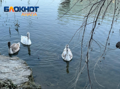 В День примерки морозного кружева в Анапе малооблачно