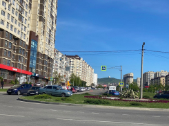 Знаменитая анапская агава чуть не стала жертвой ДТП