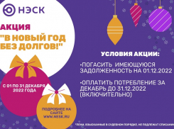 В Новый год без долгов!