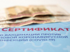 На Кубани выявлено 17 фактов продажи поддельных сертификатов о вакцинации