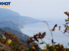 В Международный день похмелья в Анапе будет солнечно