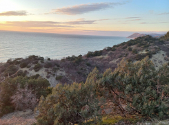 «Я никогда бы не переехала туда»: жительница Урала видела Анапу во все времена года