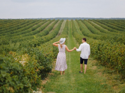 Винодельни готовятся к высокому сезону – где и что можно посмотреть и продегустировать в Анапе