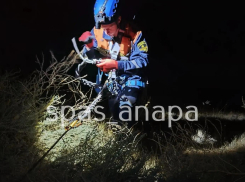 В Анапе спасатели помогли мужчине выбраться с крутого склона
