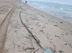 Все выходные на пляжах Анапы выбрасывало мазут 