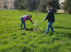 Сотни анапчан вышли на улицы курорта, чтобы навести порядок