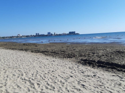 В Анапе небывалое количество водорослей: когда можно будет купаться в море?