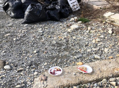 Более 100 анапчан на субботнике убирали пляж, а 1 человек — насвинячил 