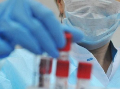 Анапчане интересуются: сколько на 4 апреля новых заболевших COVID-19 на Кубани