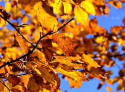 Сегодня погода снова порадует солнышком анапчан