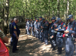Пожар на Утрише под Анапой локализован, в активном огне остается 2 га леса