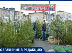 «Не губите, мужики, не губите»: анапчанка призывает отказаться от живых елей на Новый год