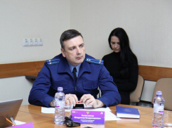 В Анапе обсудили, что делать с бездомными собаками