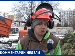 В Анапе завершили переработку более 100 новогодних ёлок и сосен