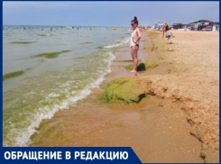 Анапчанка жалуется на вонючие кучи тины на берегу моря