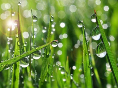 В Анапе 26 июля малая вероятность выпадения осадков