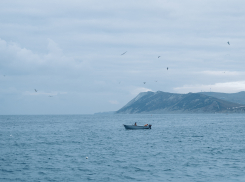  Гороскоп для анапчан с 25 сентября по 1 октября: Овны проявят всю бдительность и контроль