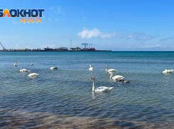 В День Интернета в России в Анапе снова тепло и без осадков