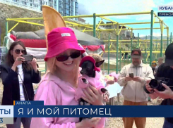 Владельцы животных прошлись по красной дорожке в Анапе