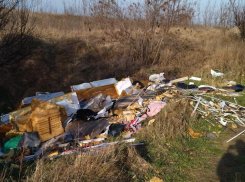 Прокуратура Анапы выявила стихийную свалку в Цибанобалке