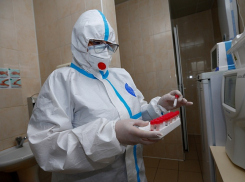 В Анапе выявили еще 10 новых случаев коронавируса, в крае – 850