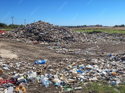 Частная компания выплатила 4,8 млн рублей за ущерб природе в Анапе