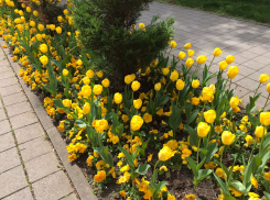 Гороскоп для анапчан с 24 по 30 апреля: Близнецам надо быть на позитиве