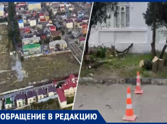 Анапчанка просит остановить спил деревьев у нашумевшего ЖК «Высокий берег»