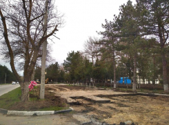 В Анапе зеленый газон уничтожили под парковку