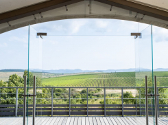 Объем производства вина на Кубани – в том числе в Анапе - за год увеличился на 10 процентов