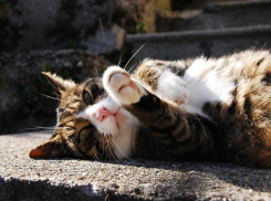 Воскресная погода порадует анапчан отсутствием дождя