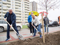 К озеленению сквера на бульваре Евскина приложил руку мэр Анапы
