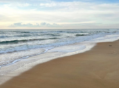 В день кошки в Анапе облачно