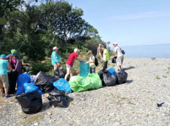 В заповеднике «Утриш» под Анапой добровольцы собрали около 20 мешков мусора