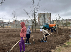 В Крещенском парке Анапы высадили новые деревья