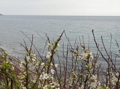 Во Всемирный день рок-н-ролла в Анапе снова пасмурно