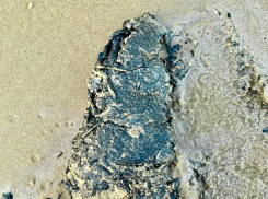 Волонтеры обнаружили новые выбросы мазута у Анапы 