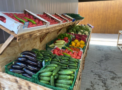 В Анапе предусмотрели 37 торговых мест для фермеров