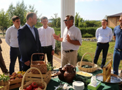 Усадьба Малкандуевых под Анапой может стать новым объектом агротуризма