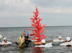 Коралловая елка, Нептун и Дед мороз: моржи Анапы устроили праздник 