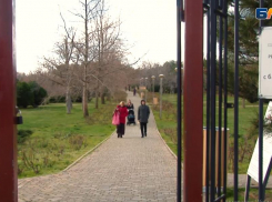 «Ломать - не строить»: анапчане не согласны с ликвидацией забора рядом с Ореховой рощей 