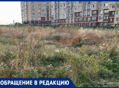 «Трава с человеческий рост и огромное количество мусора»: заброшенный пустырь на месте Императорского парка