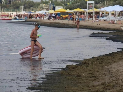 Ситуацию с почерневшим морем у берегов Анапы пояснили экологи